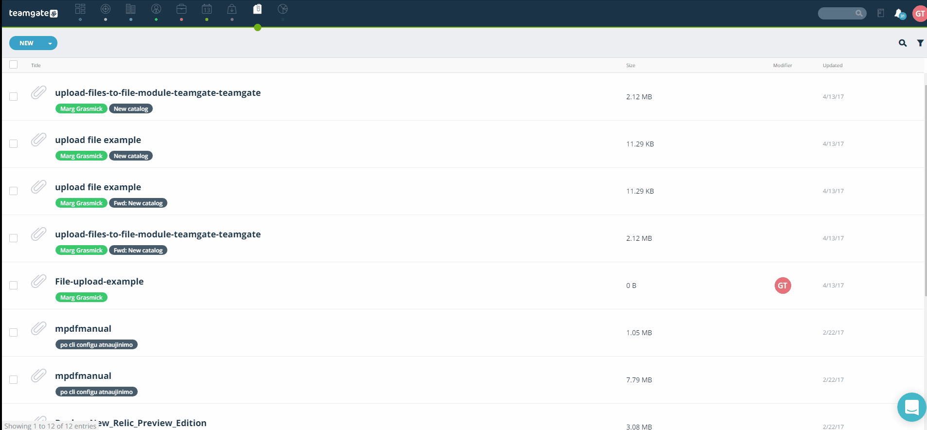 files-filtering-teamgate.gif