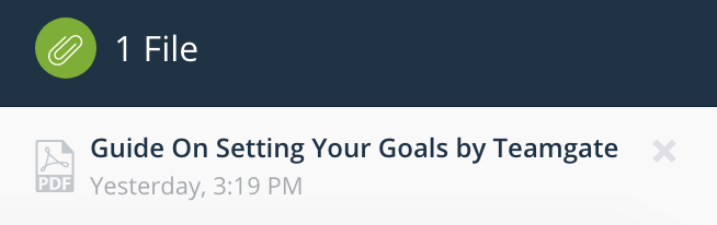 Files-block-email-view-Teamgate-CRM.png