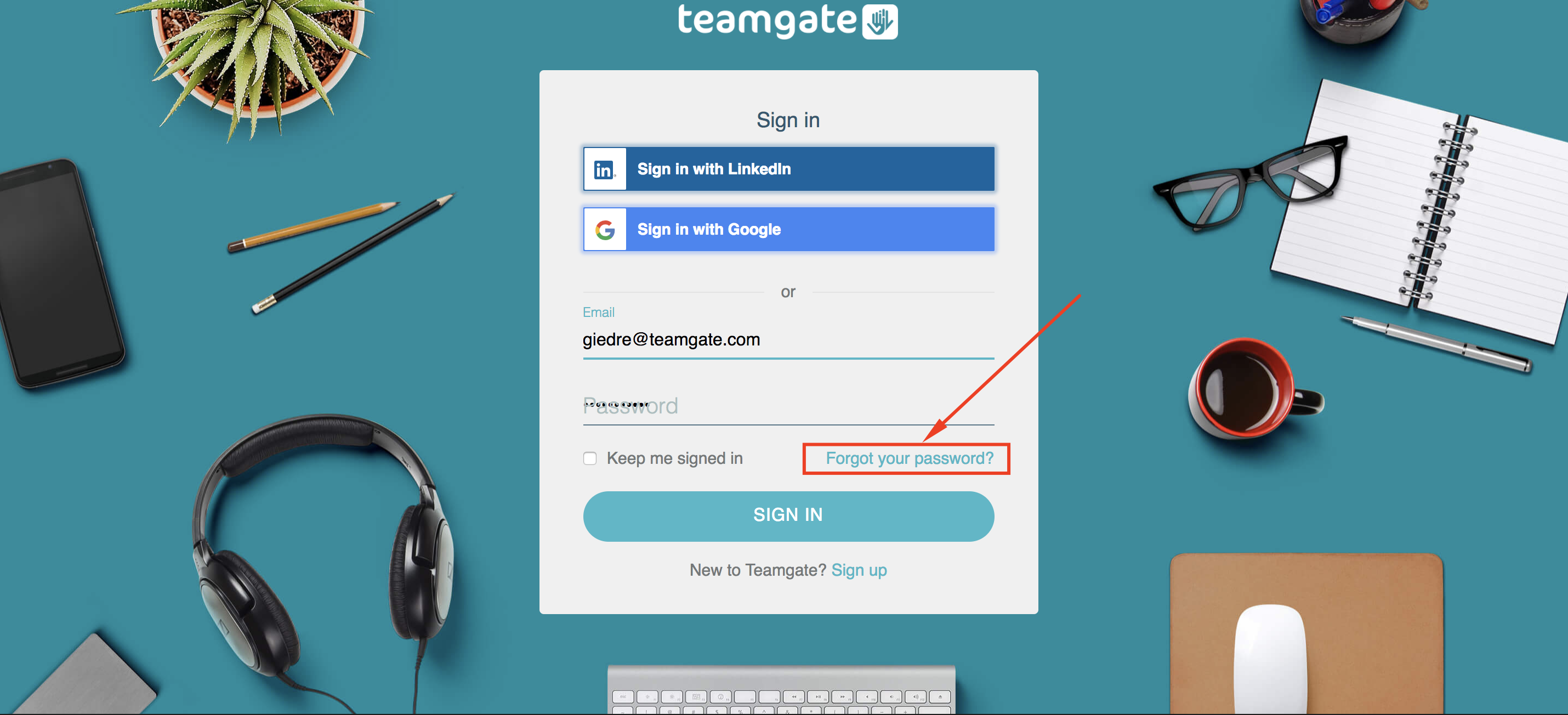 forgot-my-password-Teamgate.png
