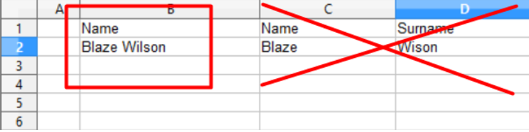 name-and-surname-teamgate-import.png