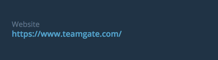 URL-custom-field-Teamgate-settings.png